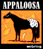 This horse looks just like our Appaloosa stallion,
ZIP ME IMPRESSIVE!